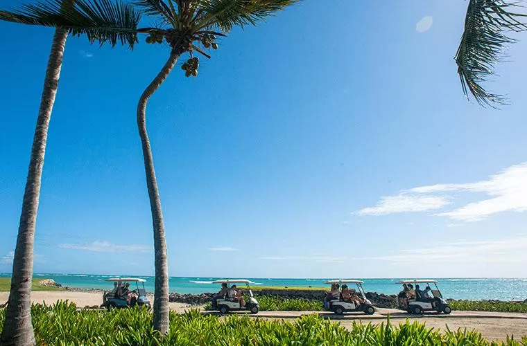 Wild On Eco Tour Punta Cana Nature Experience